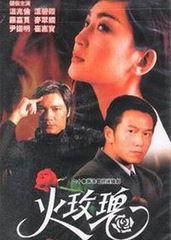 电视剧火玫瑰在线观看,激情燃烧的岁月,在线重温经典剧集 第1张 电视剧火玫瑰在线观看,激情燃烧的岁月,在线重温经典剧集 第1张